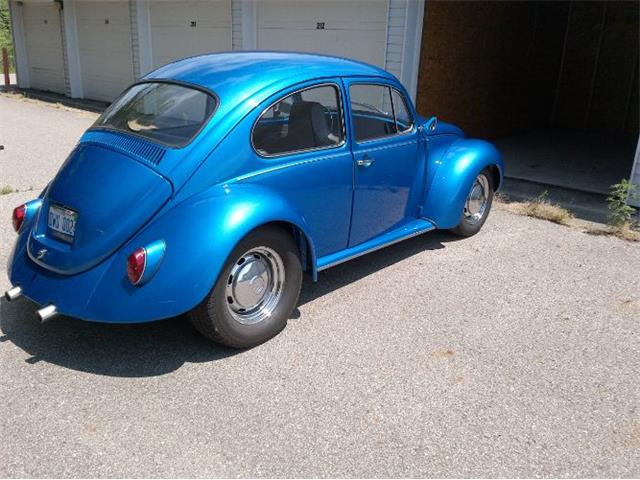 1971 Volkswagen Super Beetle (CC-2110786) for sale in Cadillac, Michigan