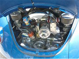 1971 Volkswagen Super Beetle (CC-2110786) for sale in Cadillac, Michigan
