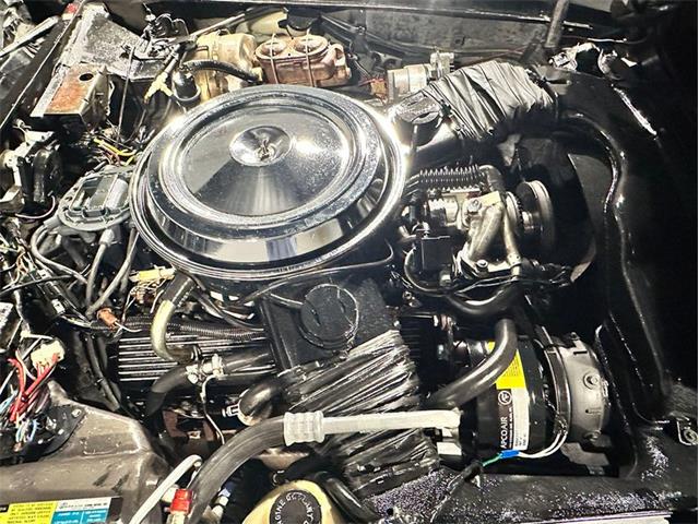 1981 Chevrolet Corvette (CC-2117873) for sale in Depew, New York