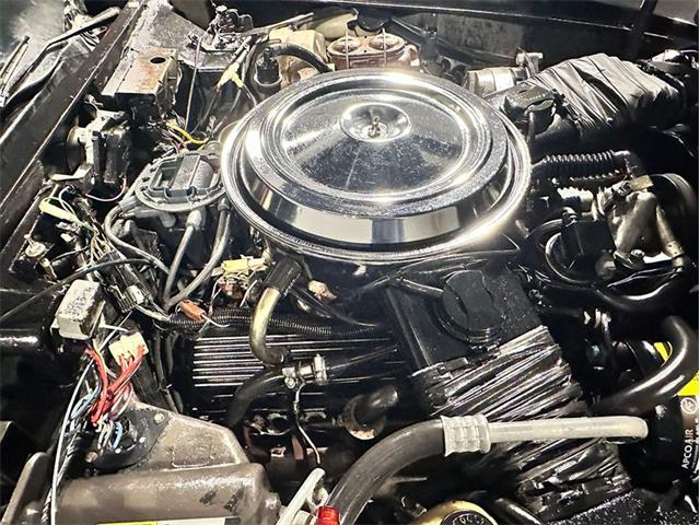 1981 Chevrolet Corvette (CC-2117873) for sale in Depew, New York