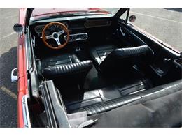 1966 Ford Mustang (CC-2117921) for sale in Shamong, New Jersey