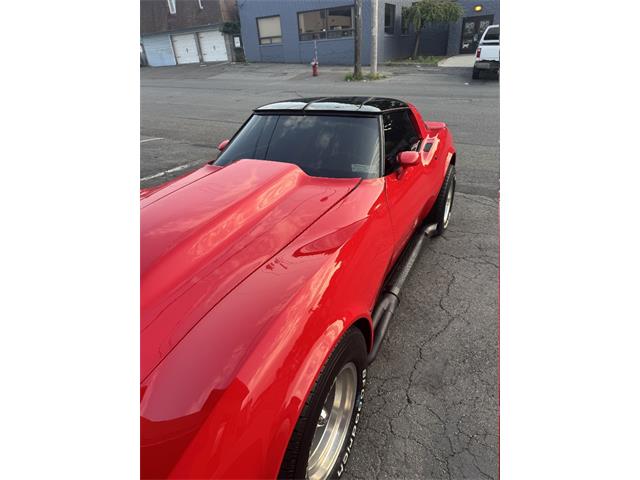 1981 Chevrolet Corvette (CC-2117927) for sale in Punta Gorda, Florida