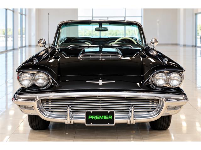 1959 Ford Thunderbird (CC-2117934) for sale in Punta Gorda, Florida