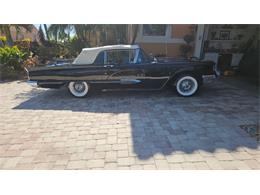 1959 Ford Thunderbird (CC-2117934) for sale in Punta Gorda, Florida