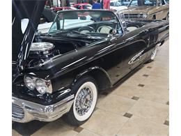 1959 Ford Thunderbird (CC-2117934) for sale in Punta Gorda, Florida