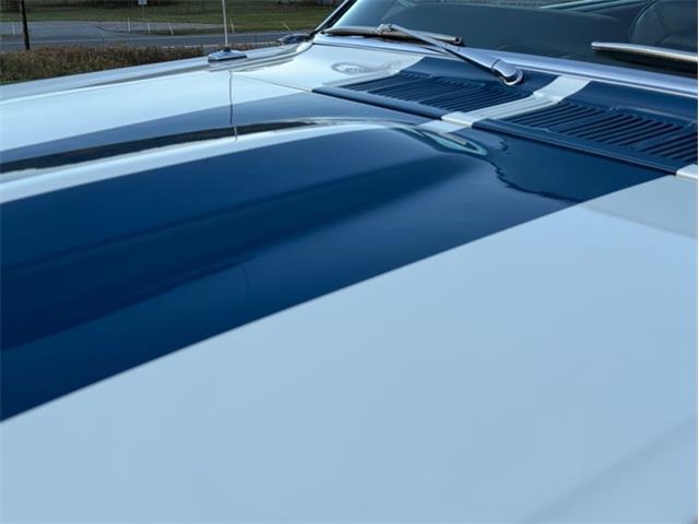 1965 Ford Mustang (CC-2117963) for sale in Orwigsburg, Pennsylvania