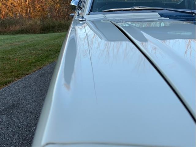 1965 Ford Mustang (CC-2117963) for sale in Orwigsburg, Pennsylvania