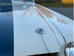 1965 Ford Mustang (CC-2117963) for sale in Orwigsburg, Pennsylvania