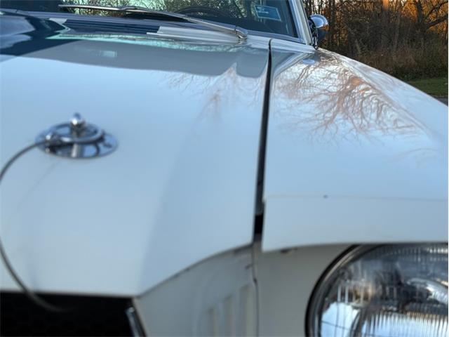 1965 Ford Mustang (CC-2117963) for sale in Orwigsburg, Pennsylvania