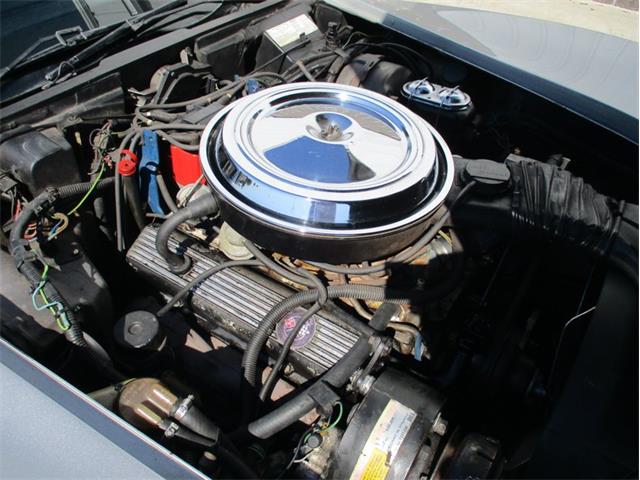 1977 Chevrolet Corvette (CC-2117973) for sale in Greenwood, Indiana