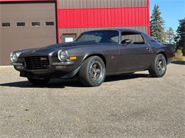 1973 Chevrolet Camaro Z28 (CC-2118072) for sale in Annandale, Minnesota