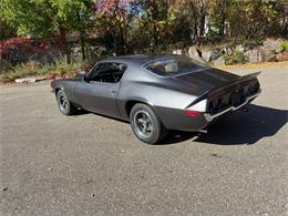 1973 Chevrolet Camaro Z28 (CC-2118072) for sale in Annandale, Minnesota
