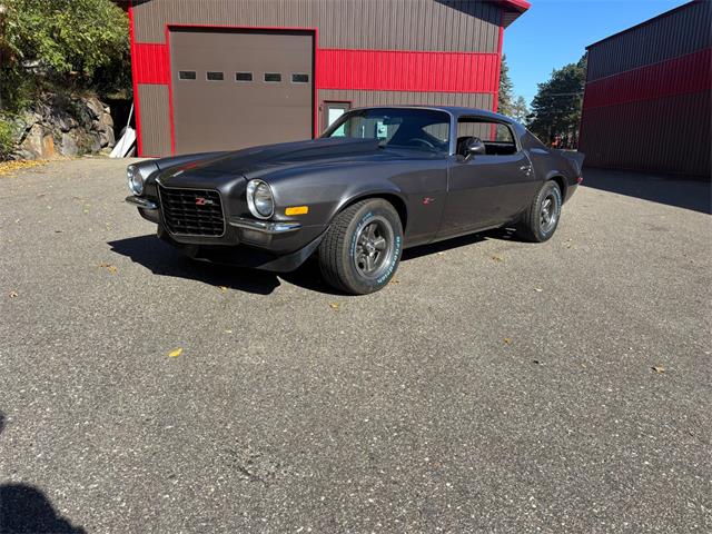 1973 Chevrolet Camaro Z28 (CC-2118072) for sale in Annandale, Minnesota