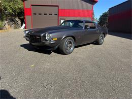 1973 Chevrolet Camaro Z28 (CC-2118072) for sale in Annandale, Minnesota