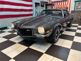 1973 Chevrolet Camaro Z28 (CC-2118072) for sale in Annandale, Minnesota