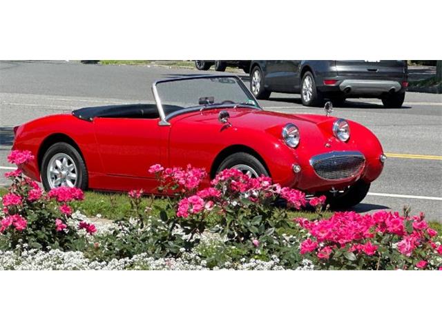 1960 Austin-Healey Sprite (CC-2118084) for sale in Cadillac, Michigan