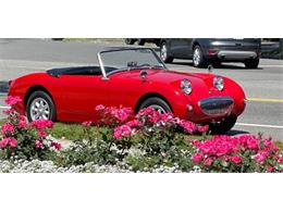 1960 Austin-Healey Sprite (CC-2118084) for sale in Cadillac, Michigan