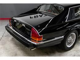 1989 Jaguar XJ (CC-2118103) for sale in Lebanon, Tennessee
