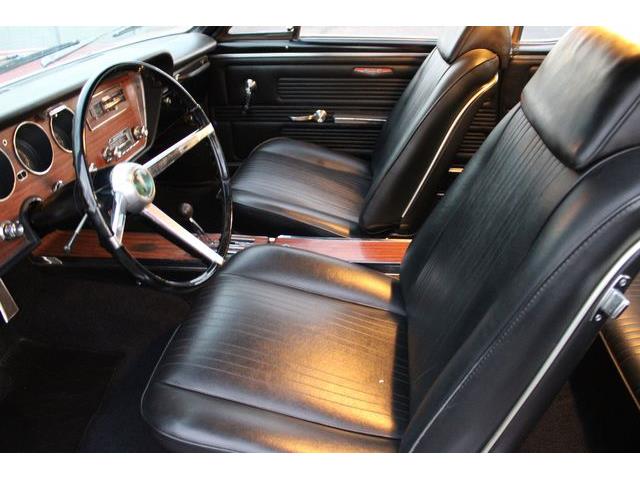 1967 Pontiac GTO (CC-2118110) for sale in Phoenix, Arizona