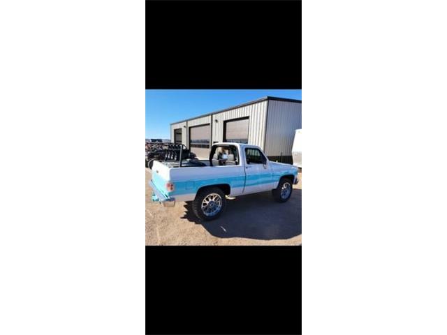 1987 Chevrolet Blazer (CC-2110818) for sale in Cadillac, Michigan