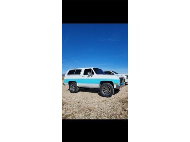 1987 Chevrolet Blazer (CC-2110818) for sale in Cadillac, Michigan