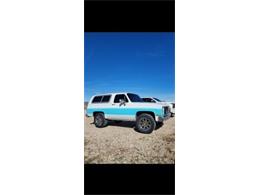 1987 Chevrolet Blazer (CC-2110818) for sale in Cadillac, Michigan