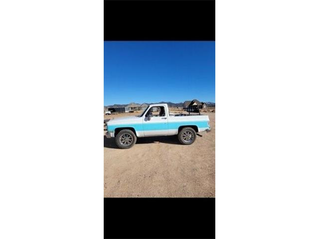 1987 Chevrolet Blazer (CC-2110818) for sale in Cadillac, Michigan