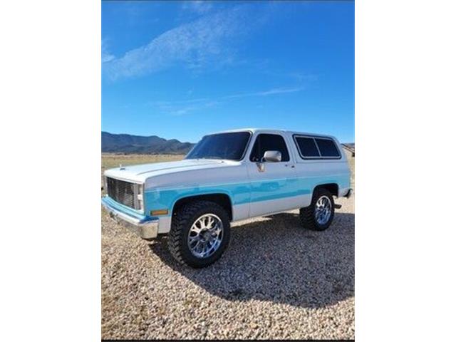 1987 Chevrolet Blazer (CC-2110818) for sale in Cadillac, Michigan