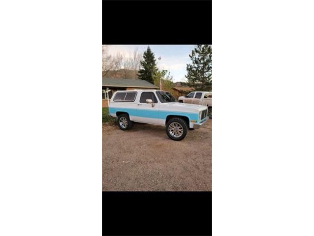 1987 Chevrolet Blazer (CC-2110818) for sale in Cadillac, Michigan