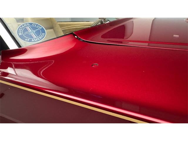 1965 Ford Mustang (CC-2118195) for sale in Clearwater, Florida