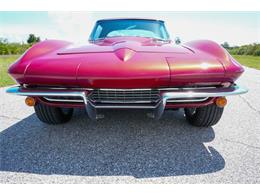 1966 Chevrolet Corvette (CC-2118228) for sale in Englewood, Florida