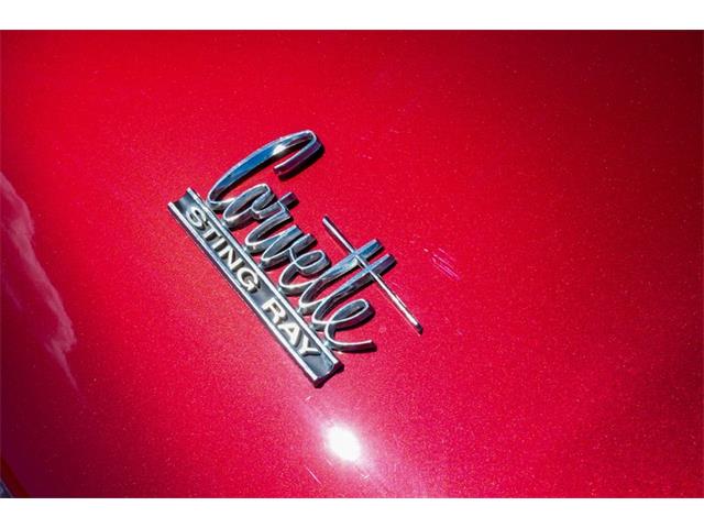 1966 Chevrolet Corvette (CC-2118228) for sale in Englewood, Florida