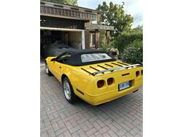 1993 Chevrolet Corvette (CC-2118250) for sale in toronto, Ontario