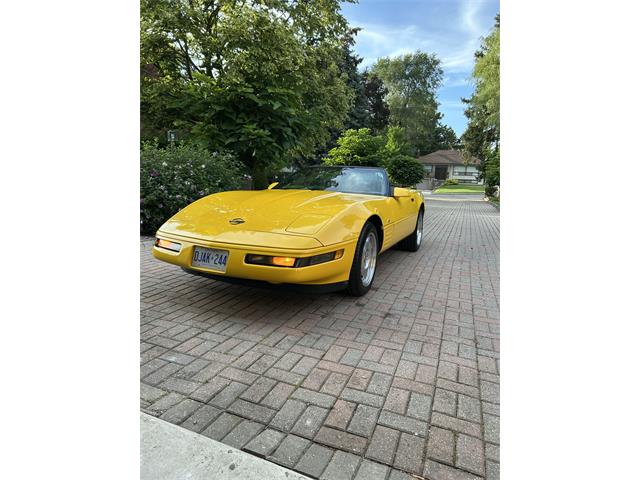 1993 Chevrolet Corvette (CC-2118250) for sale in toronto, Ontario