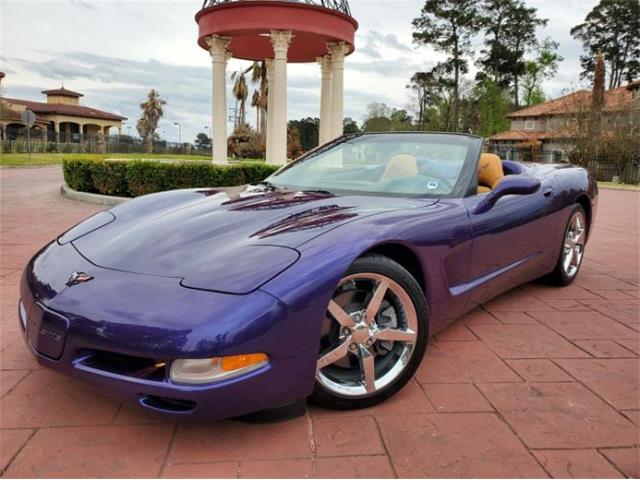 1998 Chevrolet Corvette (CC-2110832) for sale in Cadillac, Michigan