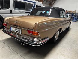 1969 Mercedes-Benz 280SE (CC-2118360) for sale in BRABUS-Classic, Munich-bavaria