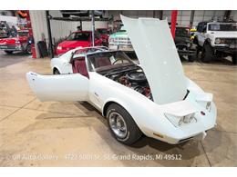 1975 Chevrolet Corvette (CC-2118368) for sale in Kentwood, Michigan