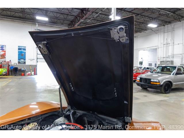 1970 Chevrolet Corvette (CC-2118376) for sale in Kentwood, Michigan