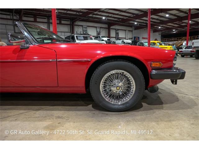 1989 Jaguar XJS (CC-2118380) for sale in Kentwood, Michigan