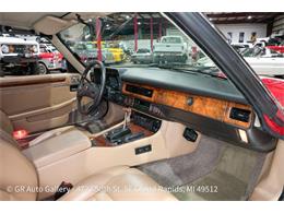 1989 Jaguar XJS (CC-2118380) for sale in Kentwood, Michigan