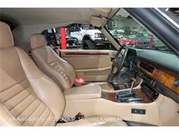 1989 Jaguar XJS (CC-2118380) for sale in Kentwood, Michigan