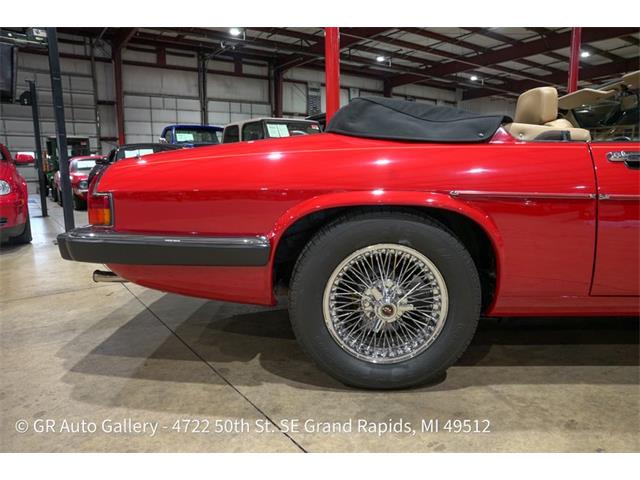 1989 Jaguar XJS (CC-2118380) for sale in Kentwood, Michigan