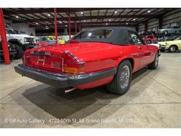 1989 Jaguar XJS (CC-2118380) for sale in Kentwood, Michigan
