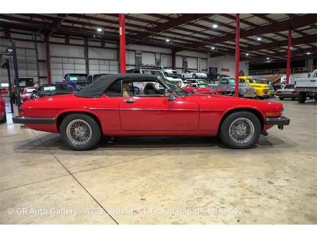 1989 Jaguar XJS (CC-2118380) for sale in Kentwood, Michigan