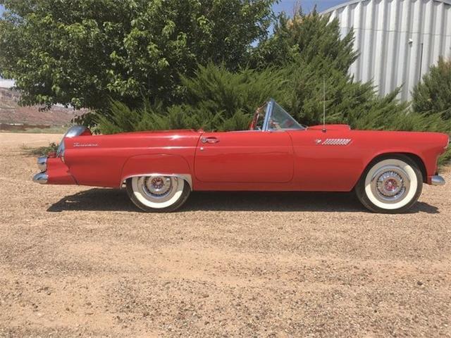 1955 Ford Thunderbird (CC-2110084) for sale in Cadillac, Michigan