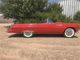 1955 Ford Thunderbird (CC-2110084) for sale in Cadillac, Michigan