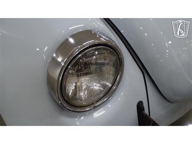 1969 Volkswagen Beetle (CC-2118407) for sale in O'Fallon, Illinois