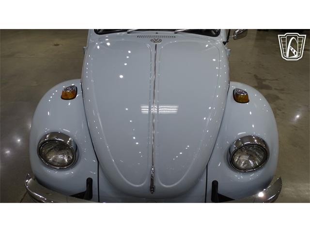 1969 Volkswagen Beetle (CC-2118407) for sale in O'Fallon, Illinois