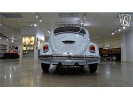 1969 Volkswagen Beetle (CC-2118407) for sale in O'Fallon, Illinois