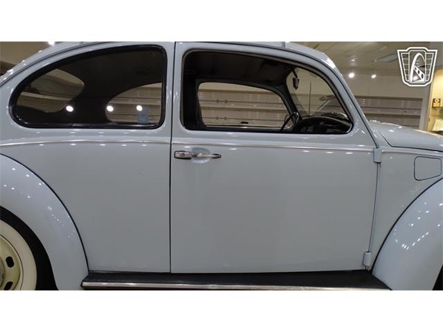 1969 Volkswagen Beetle (CC-2118407) for sale in O'Fallon, Illinois
